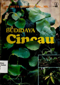 Budidaya Cincau