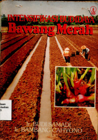 Intensifikasi Budidaya Bawang Merah