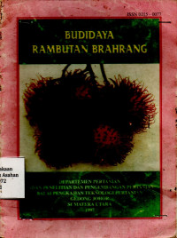 Budidaya Rambutan Brahrang