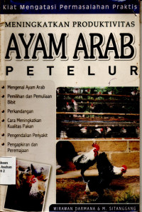 Kiat Mengatasi Permasalahan Praktis Meningkatkan Produktivitas Ayam Arab Petelur