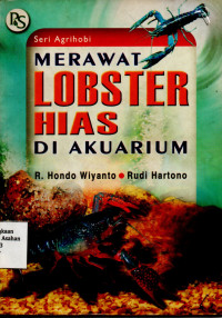 Merawat Lobster Hias di Akuarium