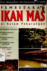 Pembesara Ikan Mas di Kolam Pekarangan