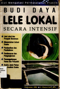 Budi Daya Lele Lokal Secara Intensif