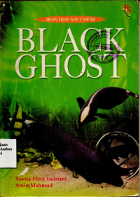 Ikan Hias Black Ghost